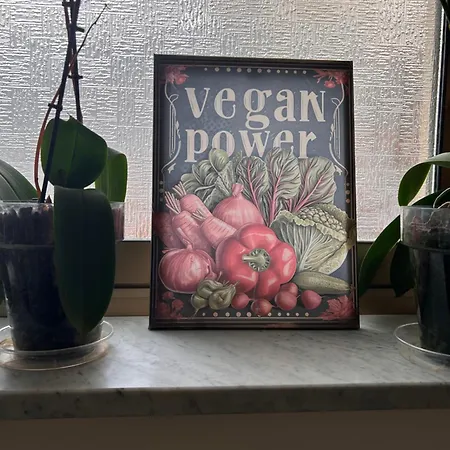 Hotel Lukas Vegetarian & Vegan Viareggio