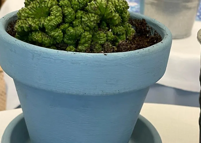 Lukas Vegetarian & Vegan Hotel 3*